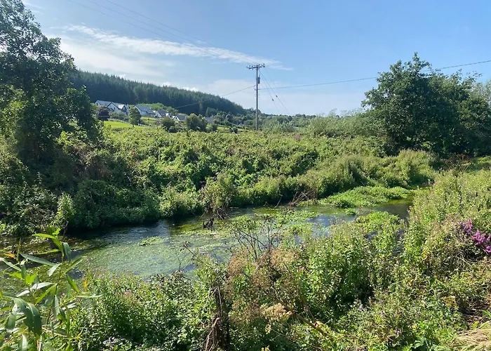 Holiday home Luxurious & Bright For 6 Dogfriendly